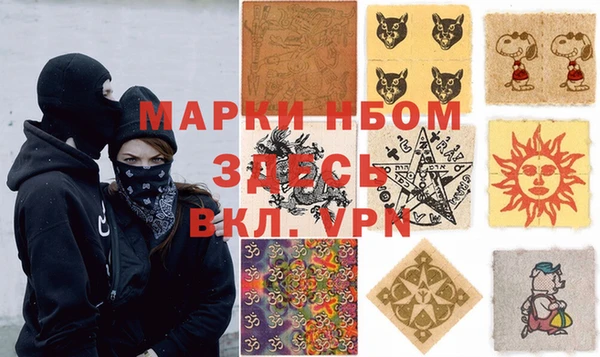 прущие грибы Болохово