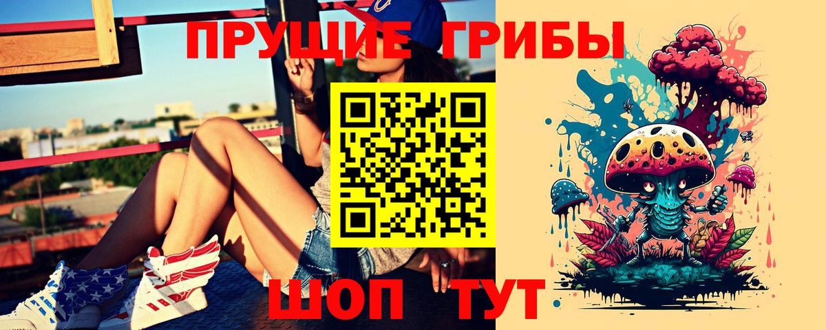 Рассказово  Псилоцибиновые грибы GOLDEN TEACHER  Псилоцибиновые грибы MAGIC MUSHROOMS  Вход с VPN 