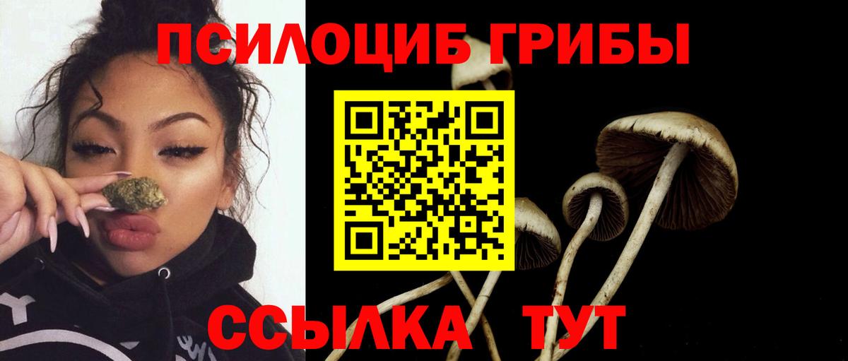 Псилоцибиновые грибы мицелий Рассказово